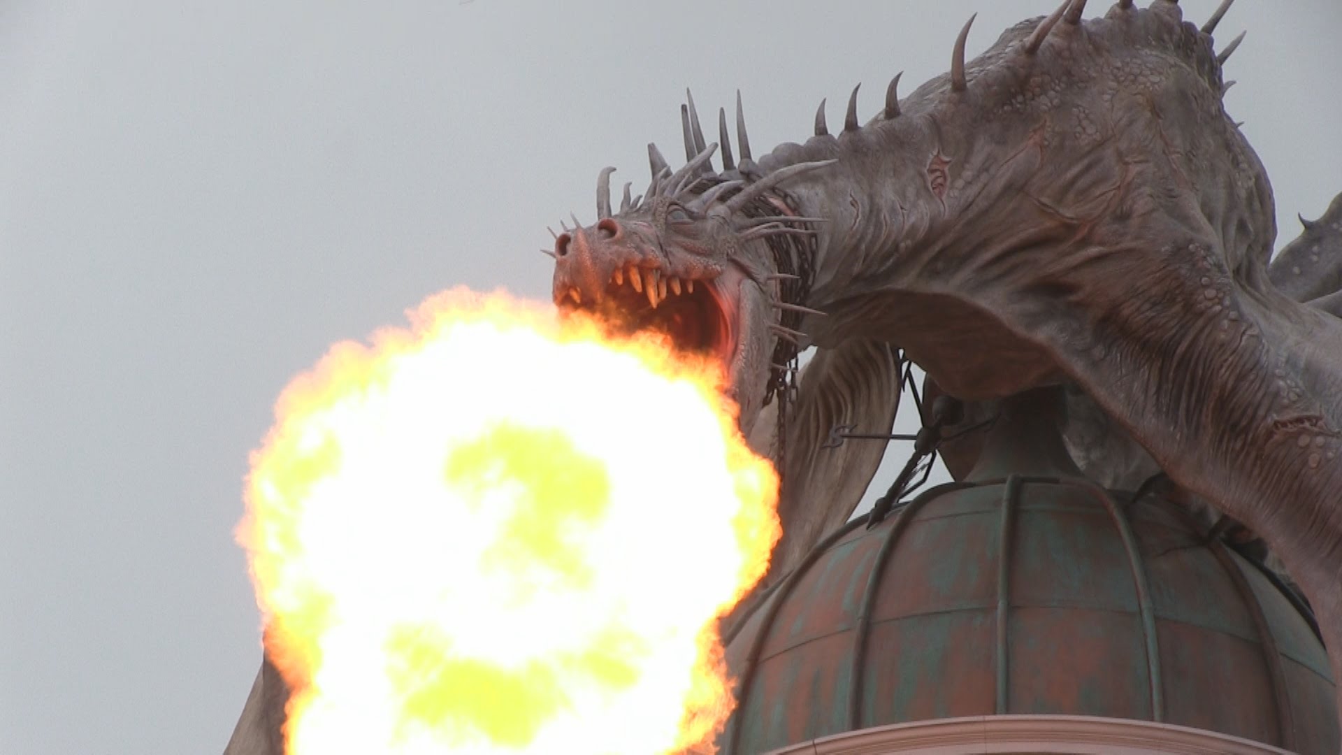 Clip Arts Related To : realistic fire breathing dragon. 