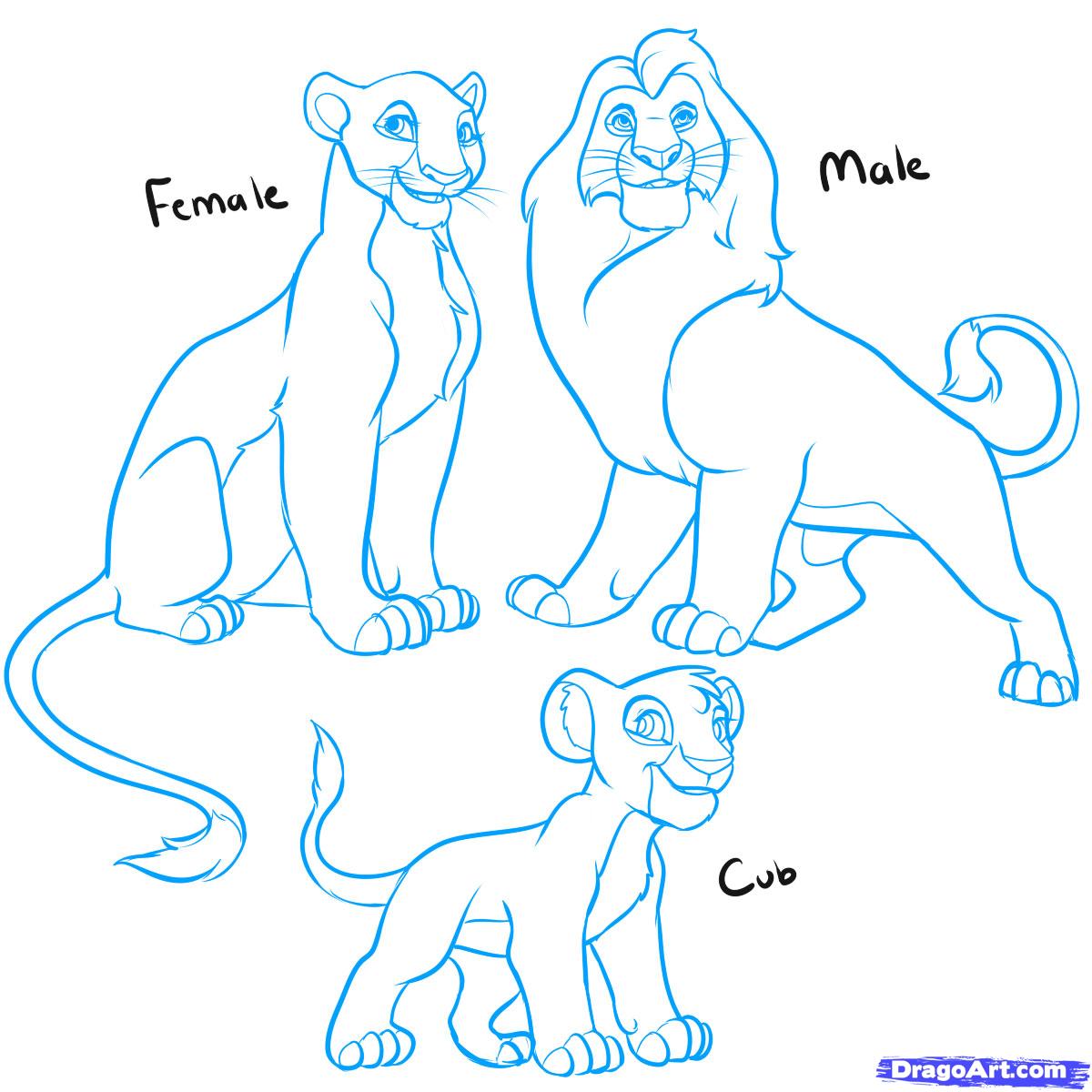 How to Draw a Lion King Lion, Lion King Lions, Step by Step 