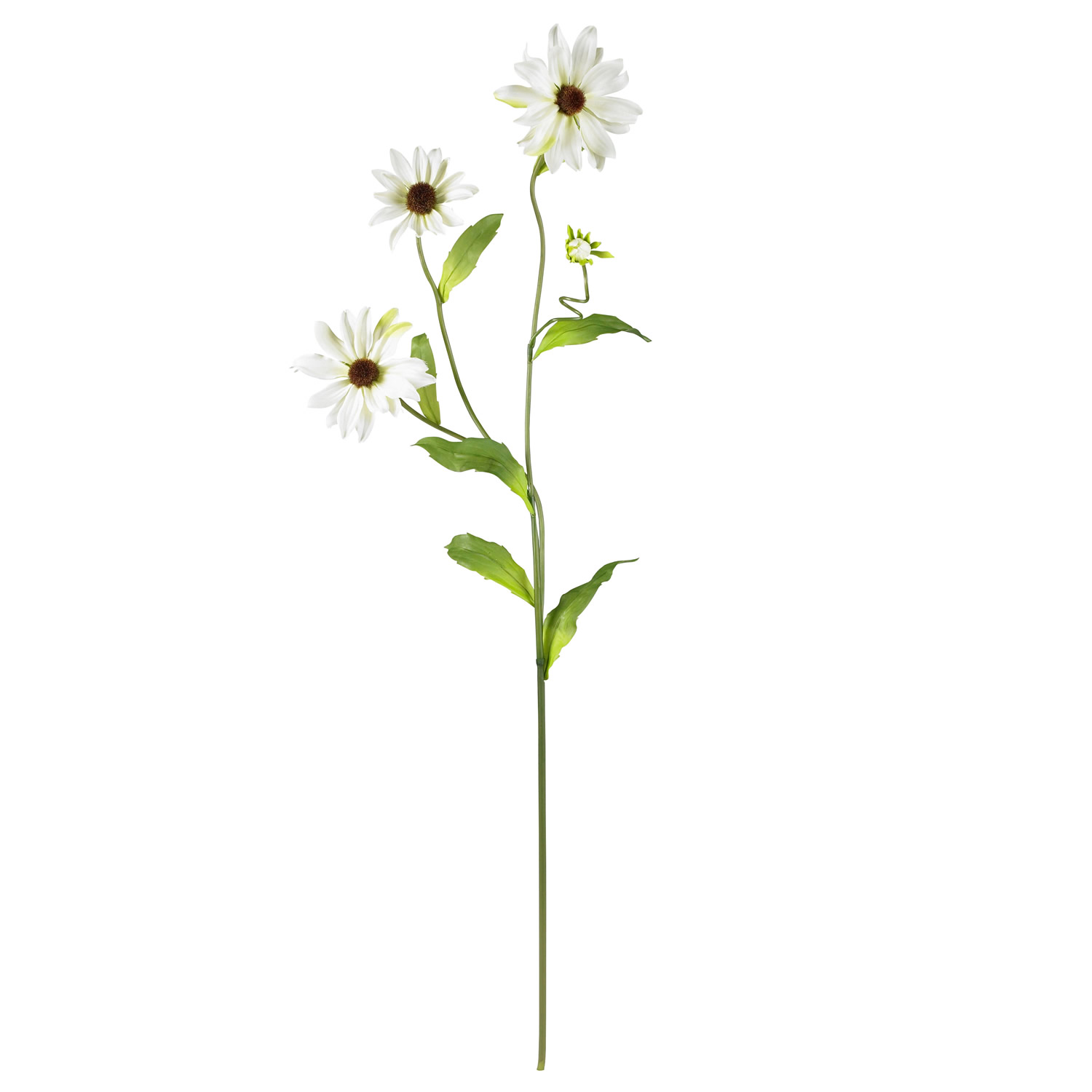 Free Flower Stem, Download Free Flower Stem png images, Free ClipArts