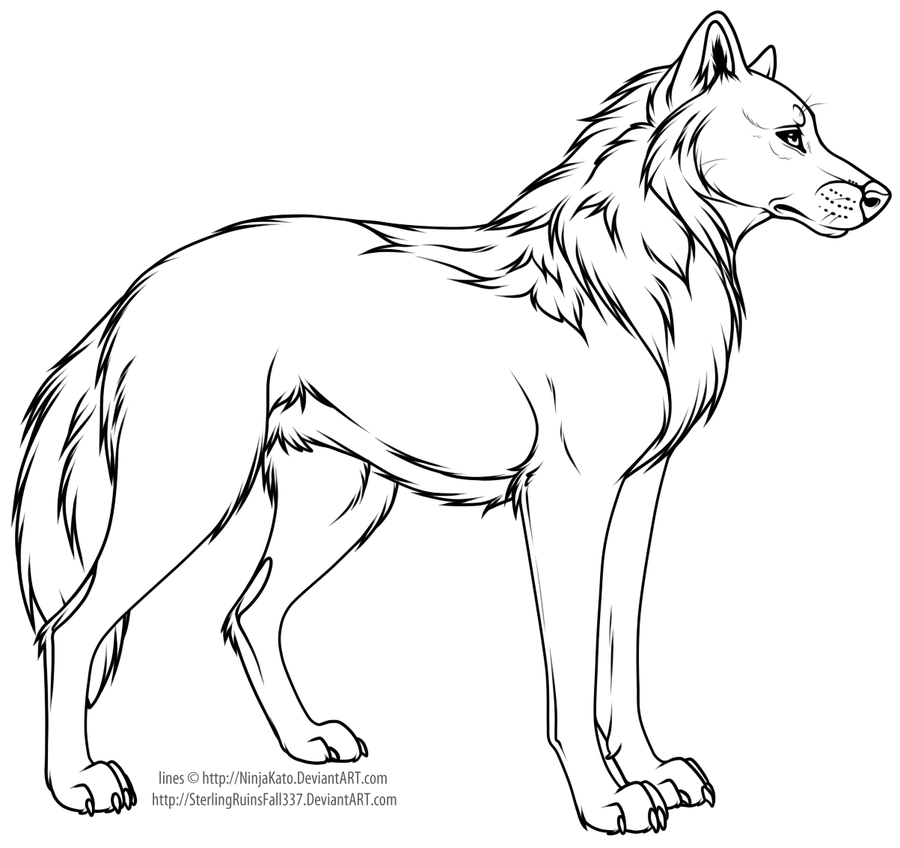 Cartoon wolf or dog line art by NinjaKato on Clipart library