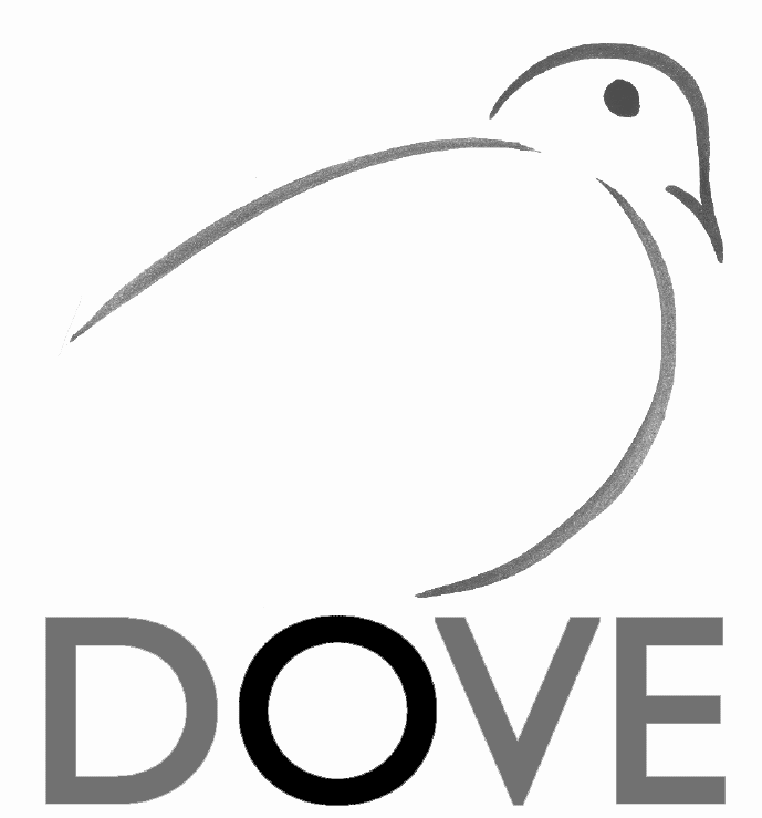 The Distributed Object Visualization Environment (DOVE)