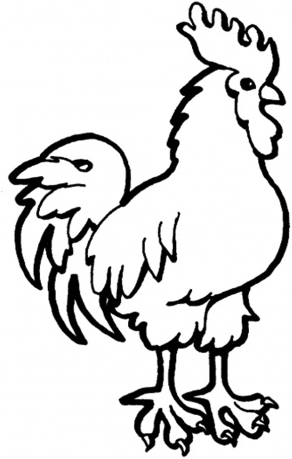 Farm Animals Coloring Page : Sweet Calf Farm Animal Coloring Pages 