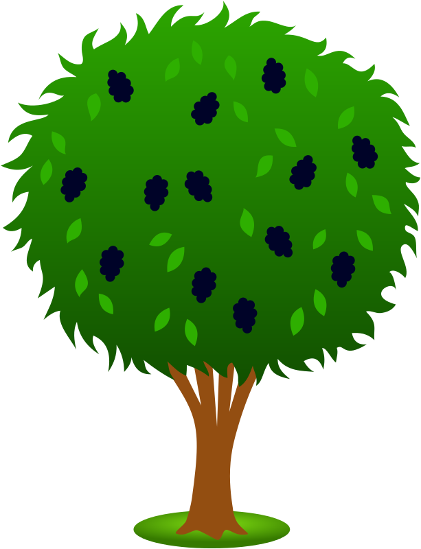 Mulberry Bush - Free Clipart - BCDownload.