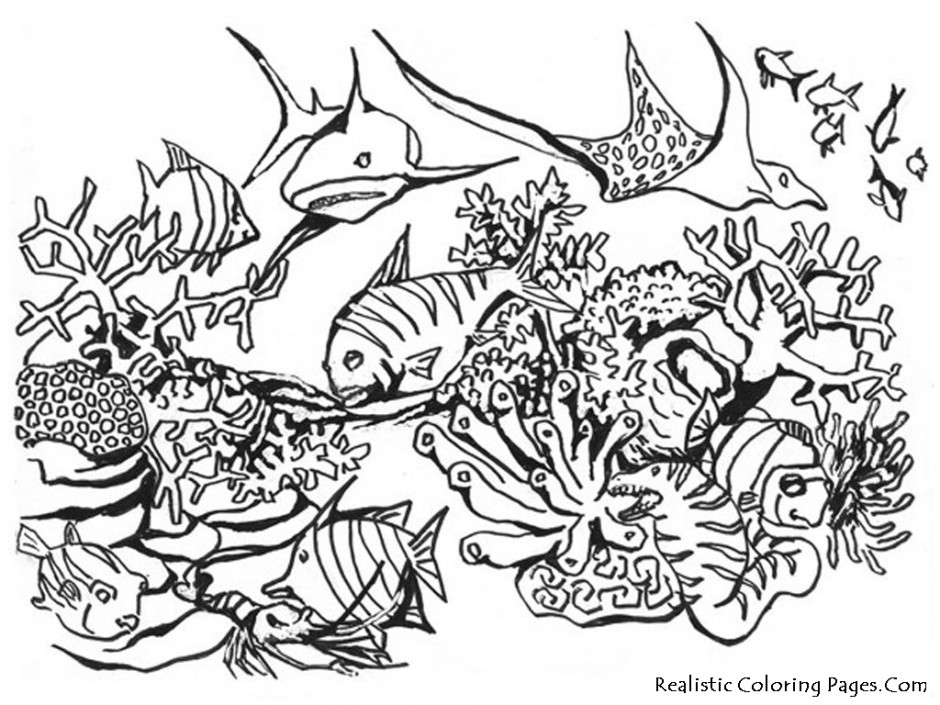 Octopus Ocean Animal Coloring Pages Sweet Coloring Pages For Kids 