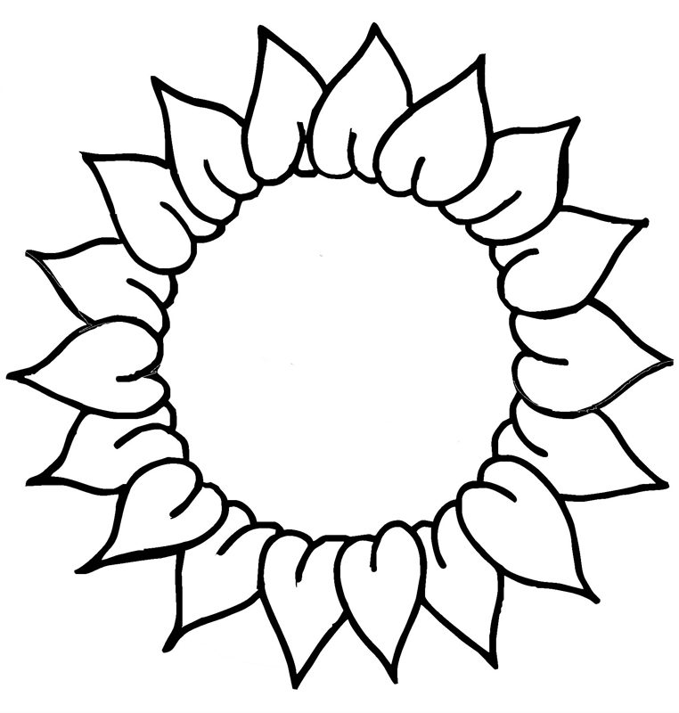 Outline Sunflower Drawing Easy