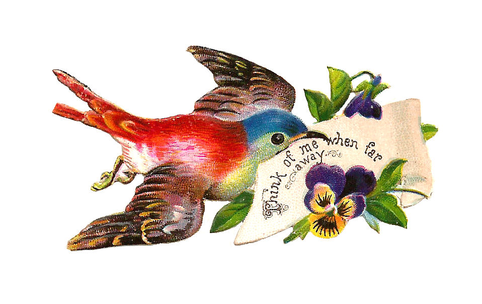 Antique Images: Free Bird Graphic: Antique Bird Clip Art from 