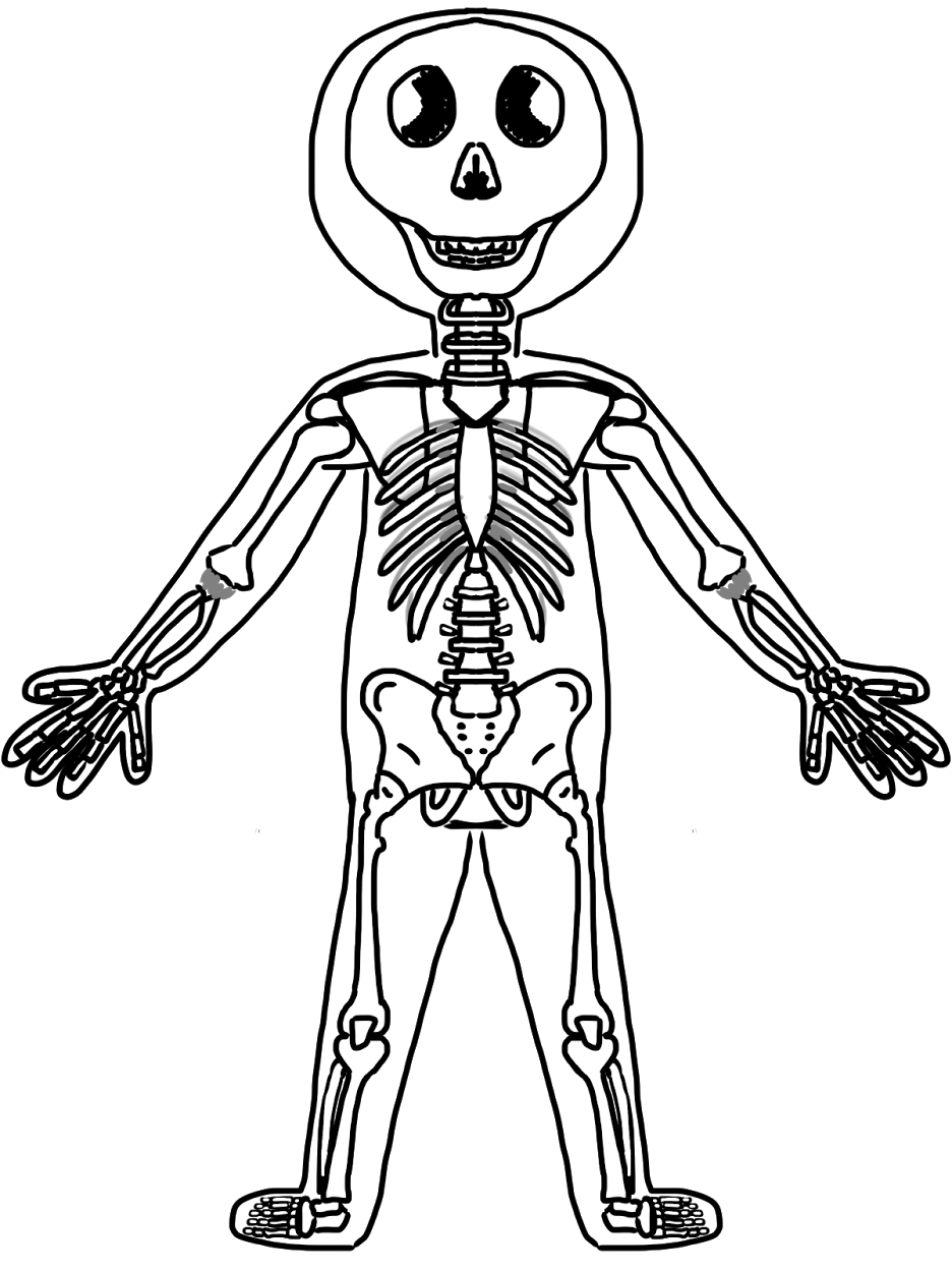 Trends For  Human Skeleton Coloring Page