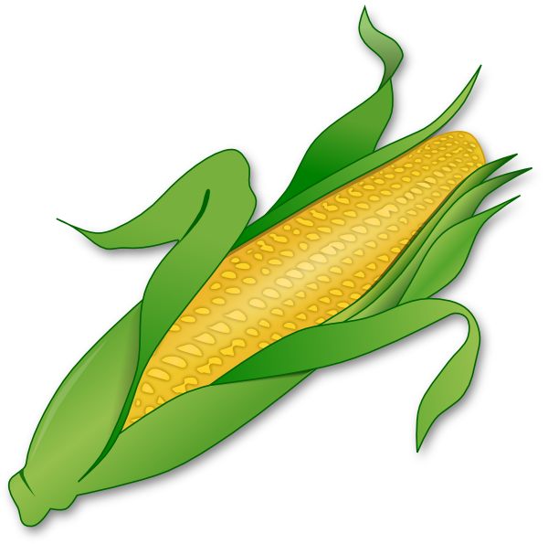 Corn clip art - vector clip art online, royalty free  public domain