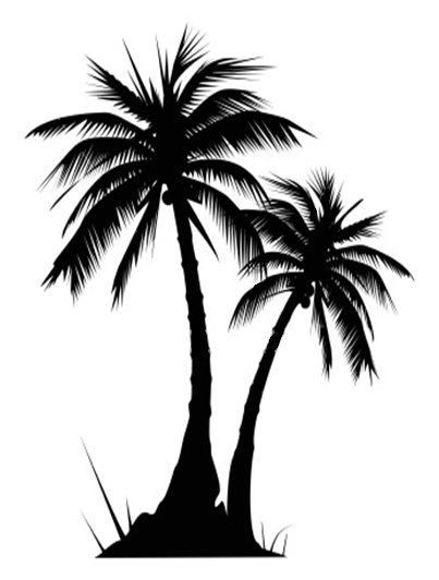 Tropical Coconut Palm Tree With Three Coconuts This Tattoo
