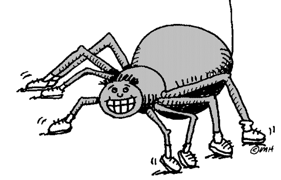 Spider Animated Images - Clipart library