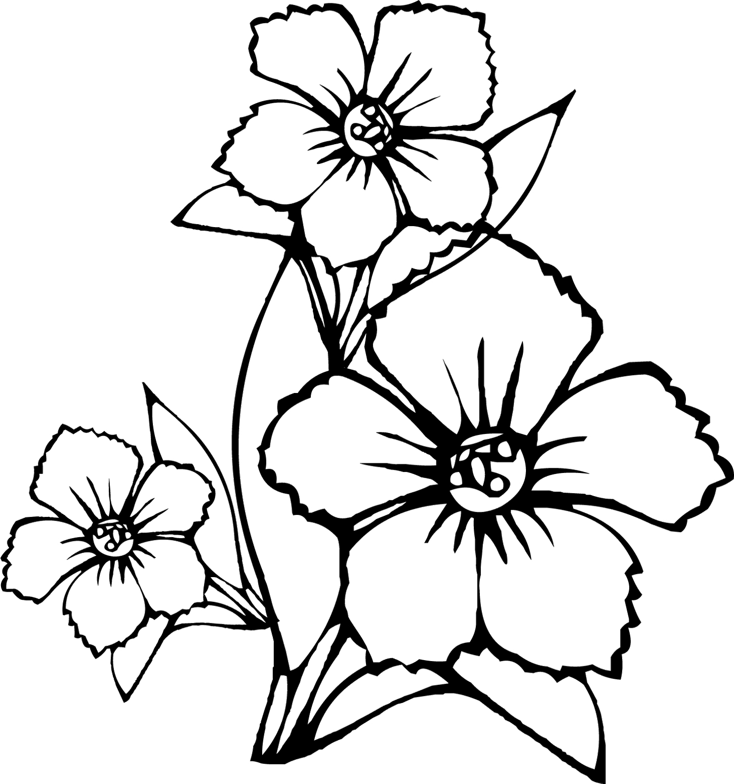 Tropical Flower Coloring Pages - Flower Coloring Pages : Coloring 