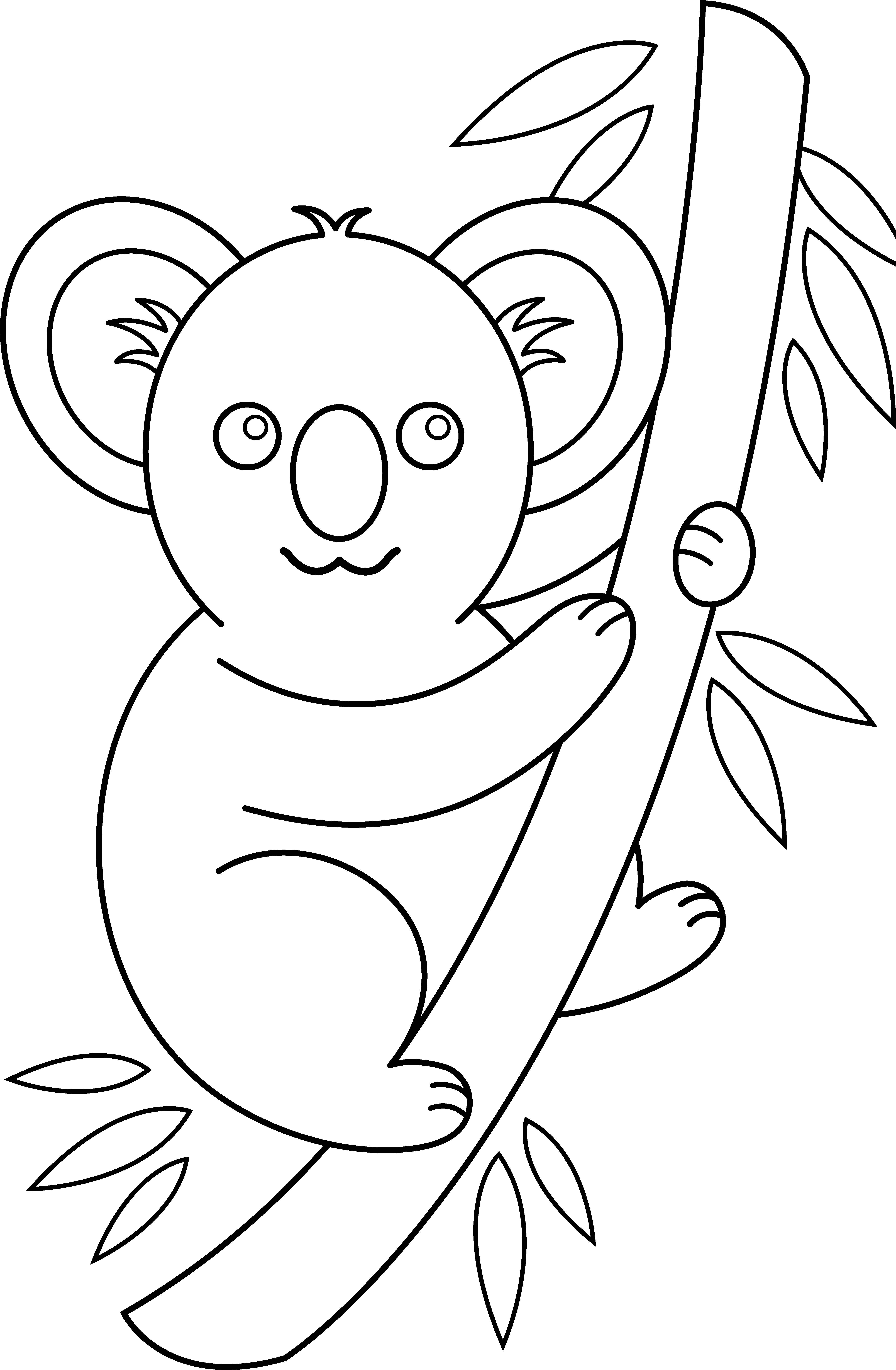 koala outline Colouring Pages