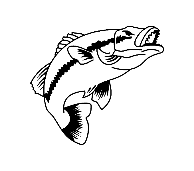 Black And White Fish - Clipart library