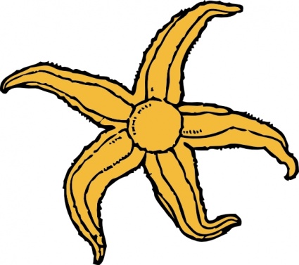 Starfish clip art - Download free Animal vectors