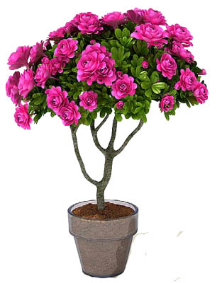 Giving Mirth: Clip art: potted house plants