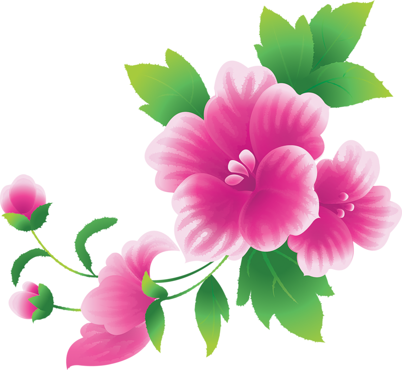 Large Pink Flowers Clipart