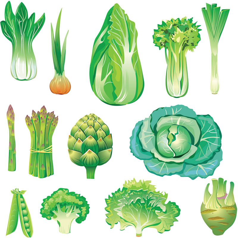 Vegetables | Vector Graphics Blog