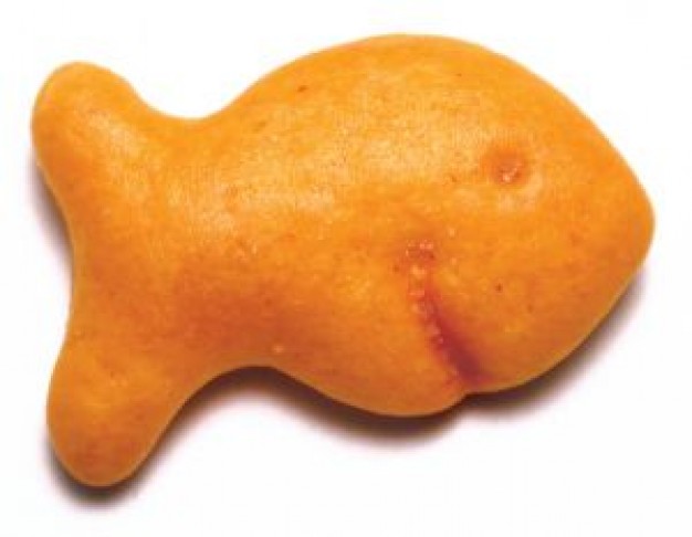 MAKE: Homemade Goldfish Crackers | KiSS 102.3 Winnipeg