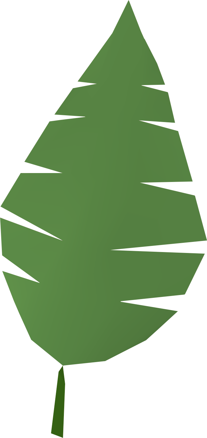 Free Palm Tree Leaves, Download Free Palm Tree Leaves png images, Free