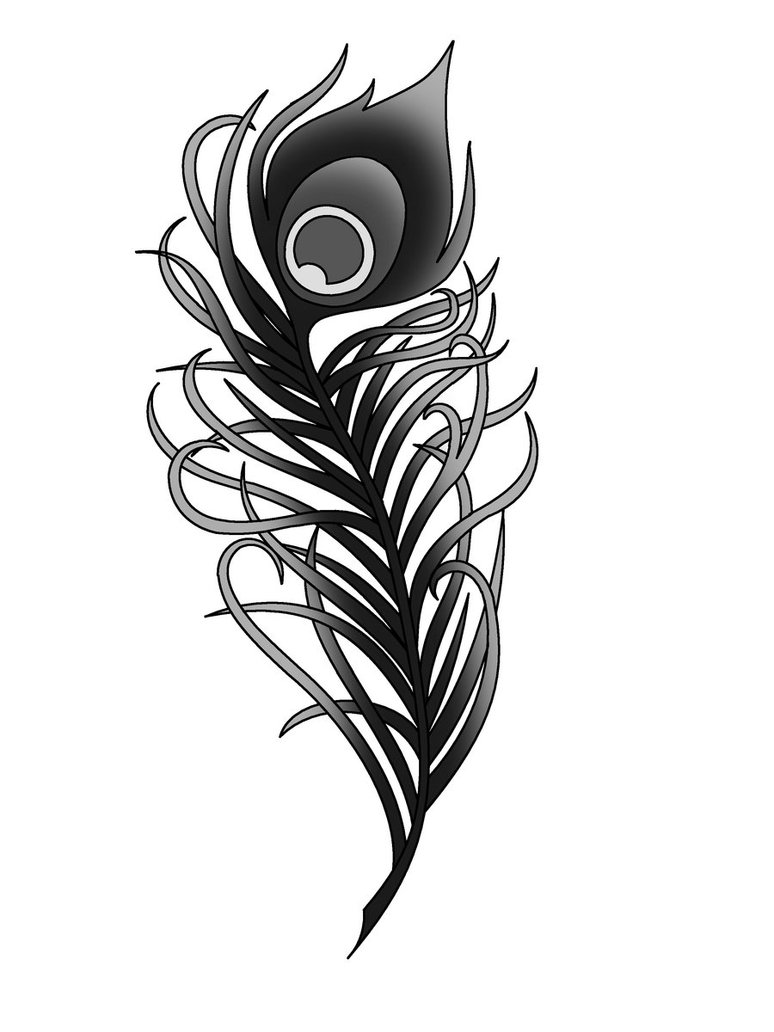 Peacock Feather Drawing Black And White - Gallery