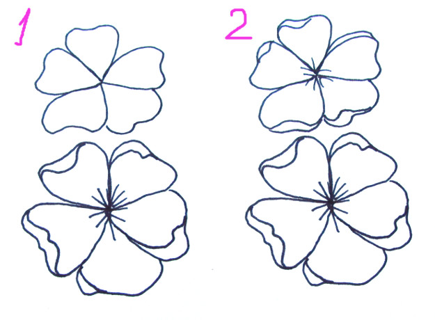 Free Sakura Flower Drawing Download Free Clip Art Free Clip Art On Clipart Library