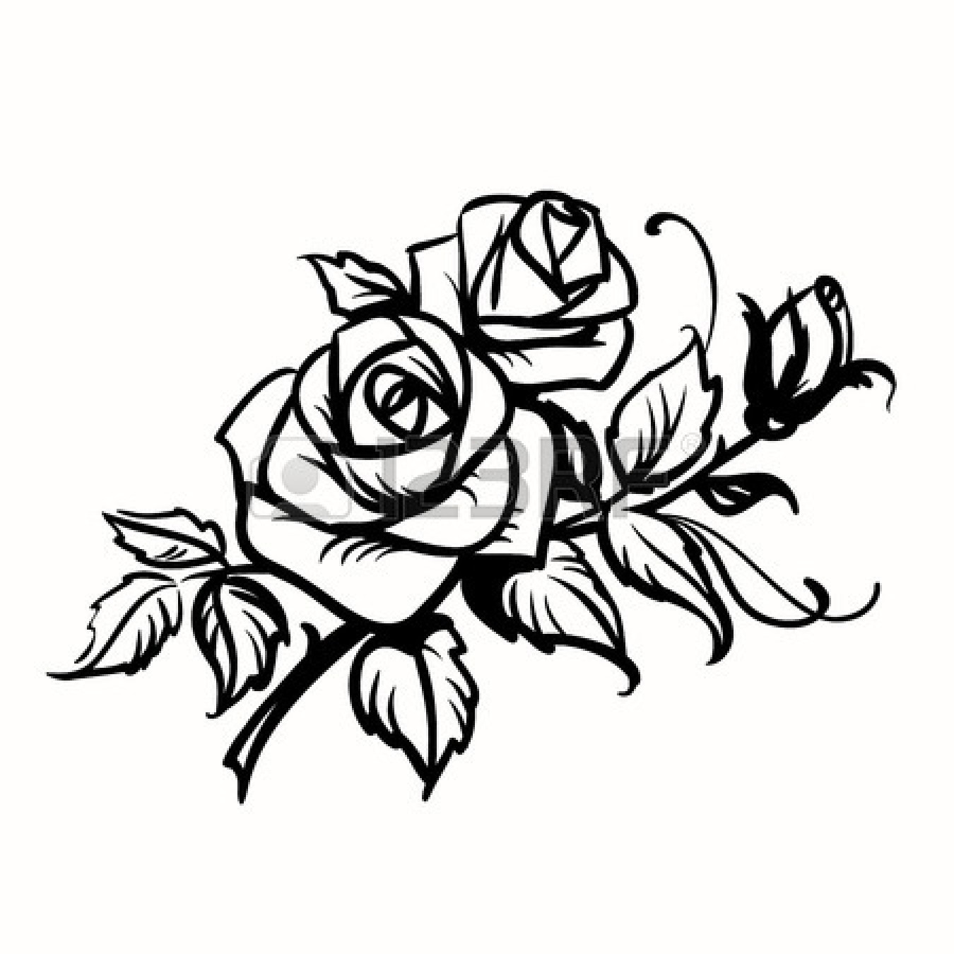 Images For  Outline Pictures Of Flowers Rose