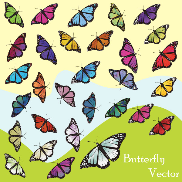 Butterfly Free Vector Art | Free Vector Graphics Download | Free 