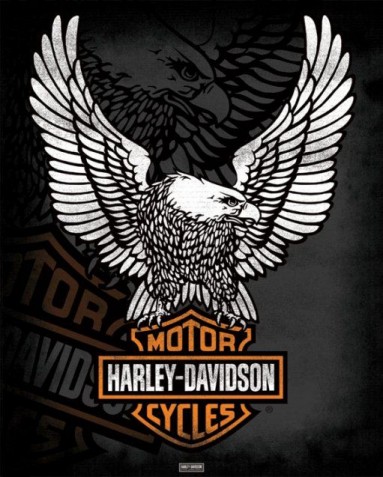 Shield 29x27cm Phoenix Eagle Decal Aufkleber Harley Davidson XL Adler mit Bar 