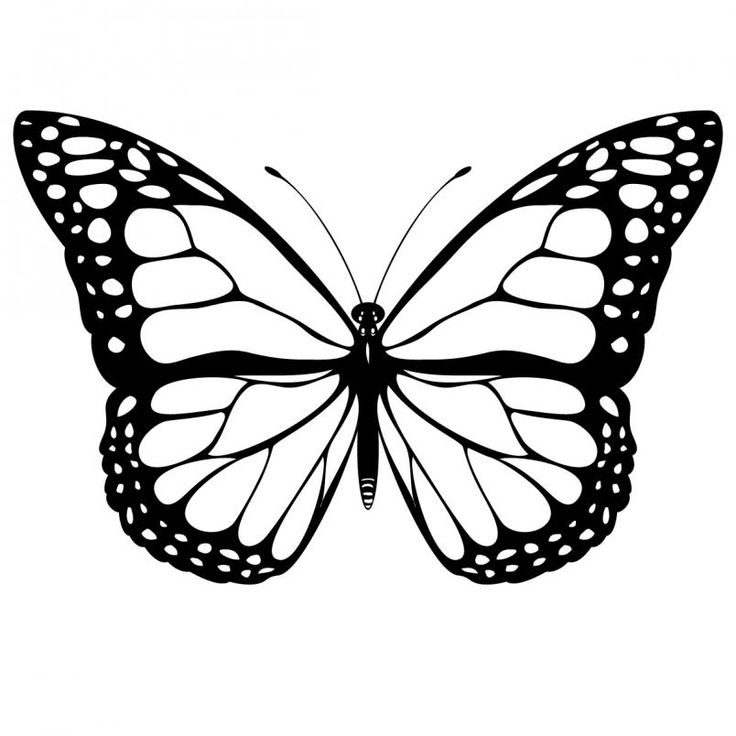 Butterfly Monarch -Clipart Pictures | Butterflies | Clipart library