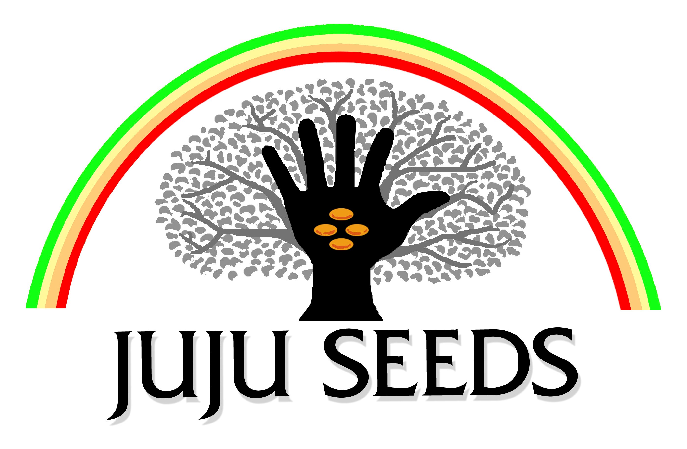 Juju Seeds | planting ideas of empowerment ? creating possibilities