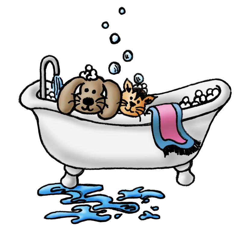 cat and dog grooming cartoon png - Clip Art Library