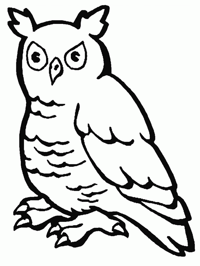 Owl - Owl Coloring Pages : Coloring Pages for Kids ? kidzcoloring.