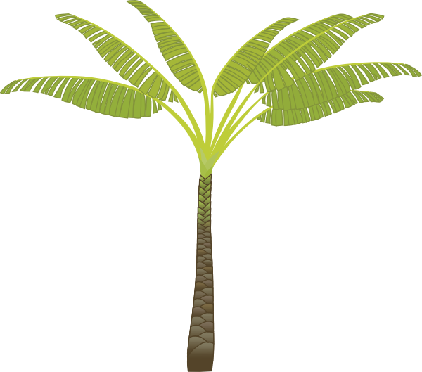 Palm Tree clip art Free Vector 