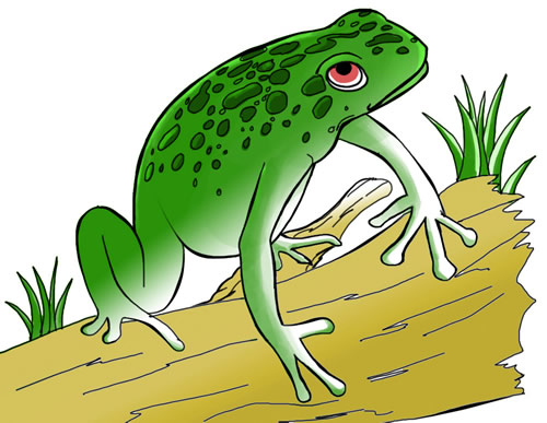 Frog Cliip Art 13 | Clipart library - Free Clipart Images