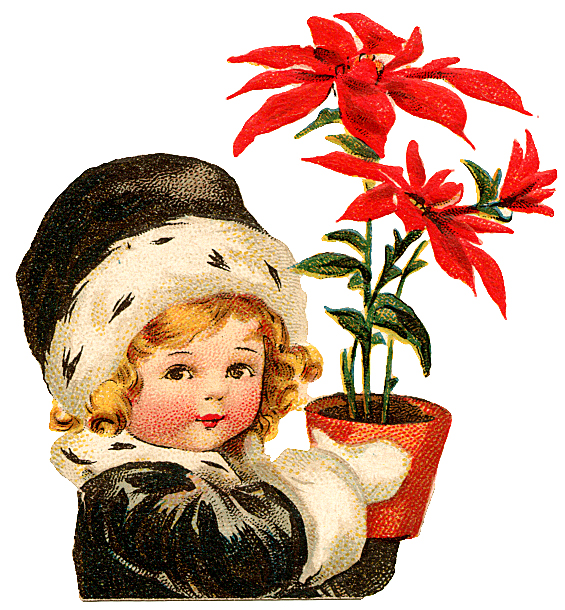 Christmas Flower Clip Art Free | clip art, clip art free, clip art 