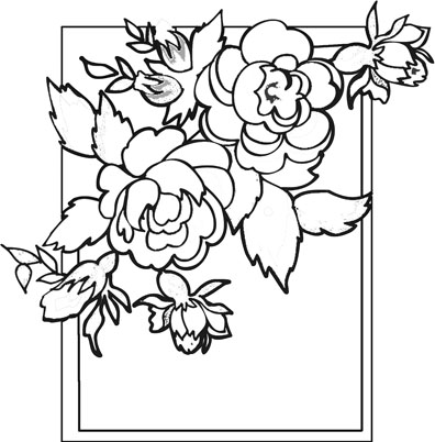 Free Sampaguita Drawing, Download Free Clip Art, Free Clip Art on