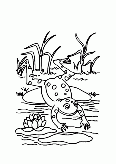 transmissionpress: Animal Cartoon Frog Coloring Pages Part 2
