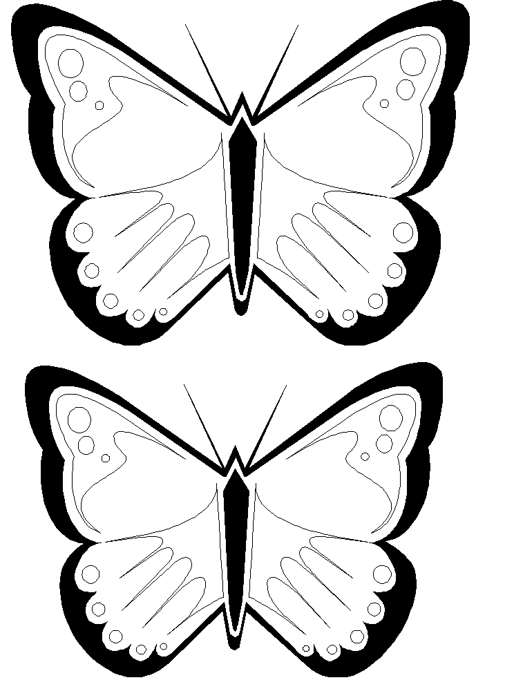 Clipart Butterfly Outline
