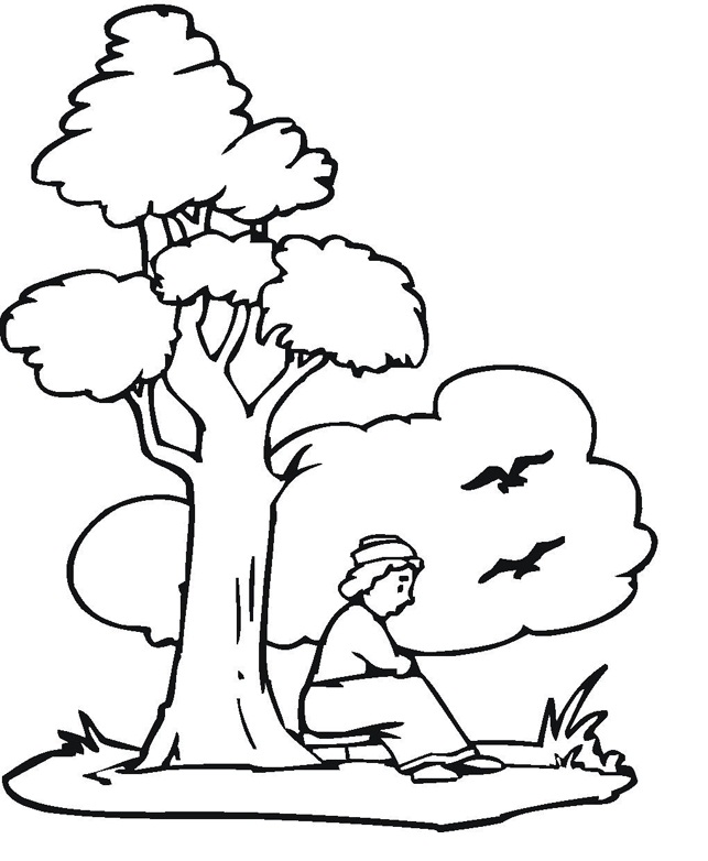Free Printable Pictures Of Trees Download Free Printable Pictures Of