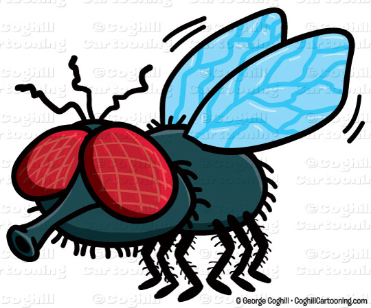 Free Fly Cartoon, Download Free Fly Cartoon png images, Free ClipArts on  Clipart Library
