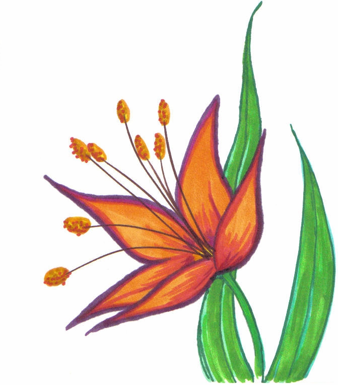 Sharpie Flower by lydia-seguin on Clipart library