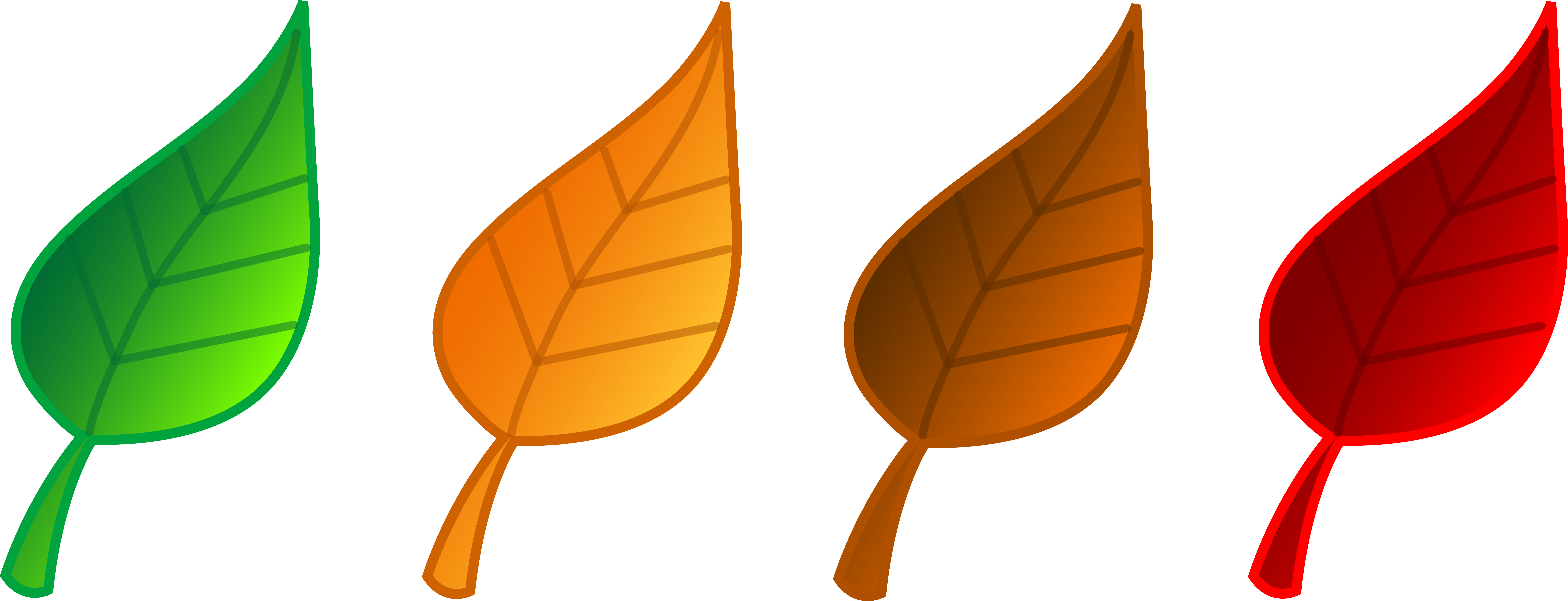 Set of Four Tree Leaves - Free Clip Art