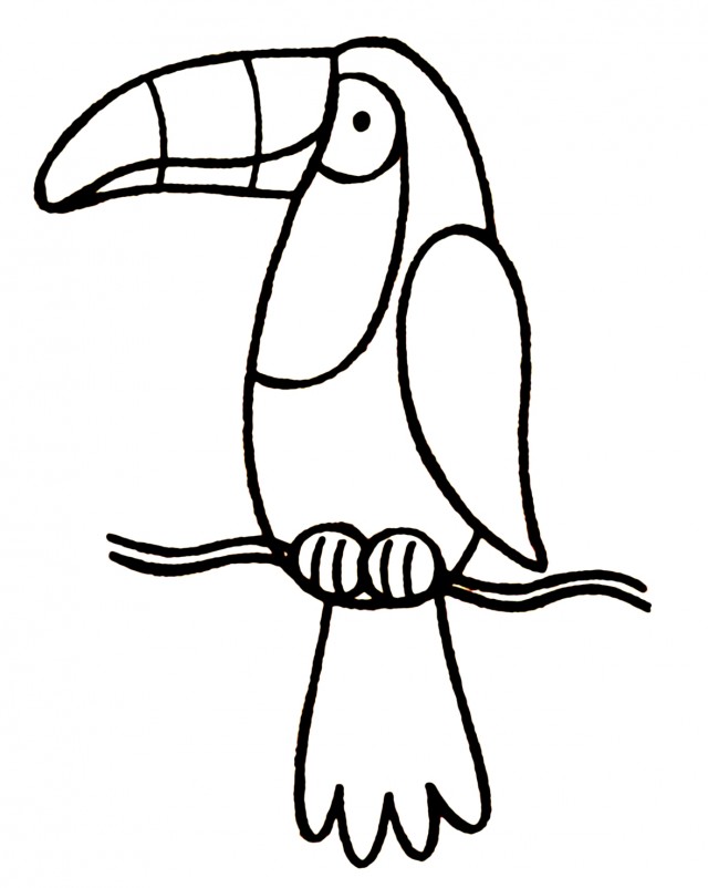 Toucan Coloring Page For Kids Printable Coloring Sheet 99Coloring 