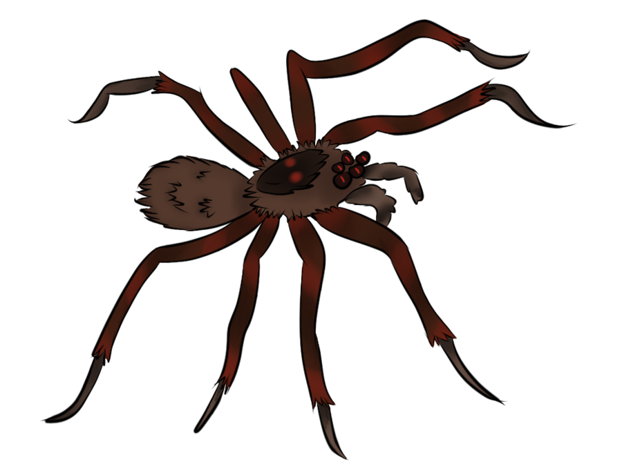 Fish Spider (Insane Spiders logo) by Sohiee on Clipart library