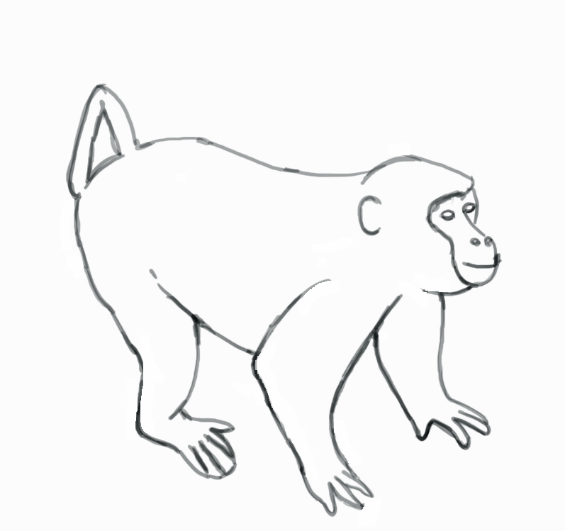 Free Monkey Drawing, Download Free Monkey Drawing png images, Free