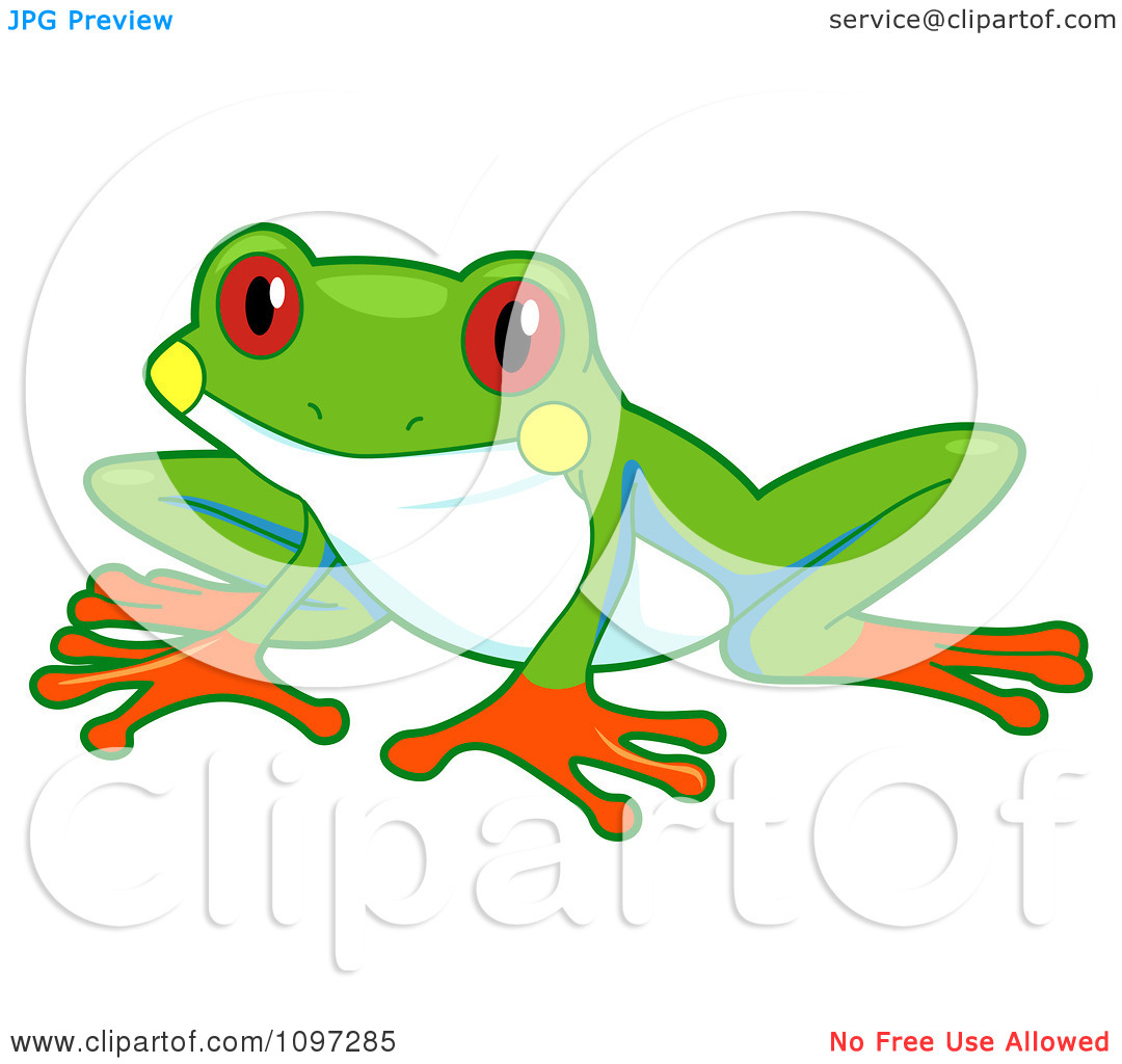 clipart tree frog - photo #21