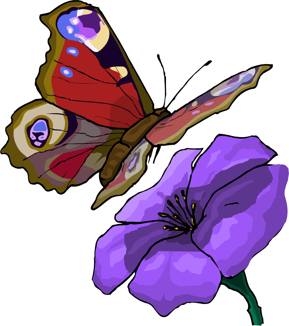 flower with butterfly cartoon - Clip Art Library