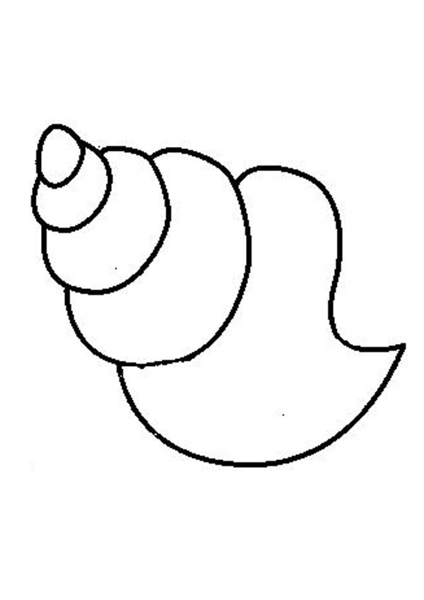 Shell Coloring Page Sea Snail Funny