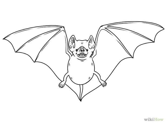 How to Draw a Bat with Pictures wikiHow