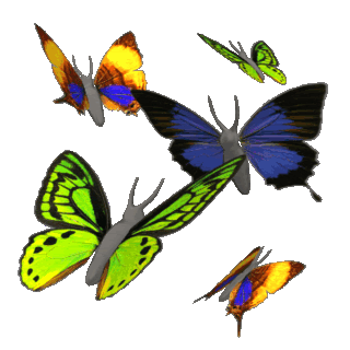 Animation Moving 3D Animated gif | Butterflies in flight | GIF 
